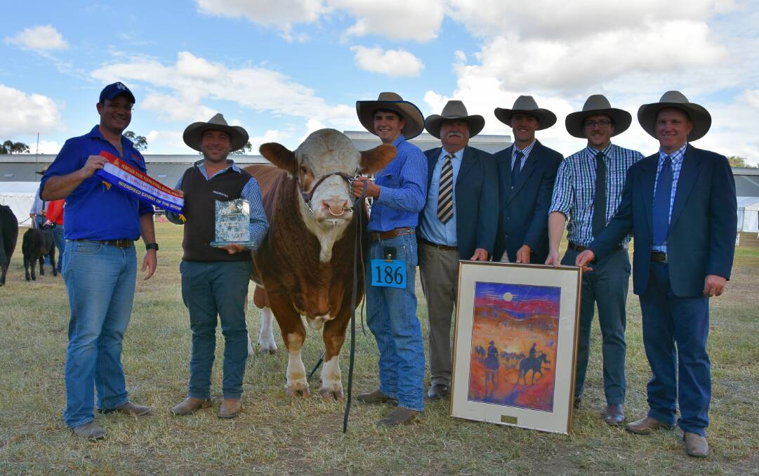 KBV Simmental Stud's Stephen Lean and Marty Rowlands, Murphy Creek with their Toowoomba Show supreme exhibit KBV Magistrate bull plus handler John Delaforce and judges Allen Oxlade, Bart Bowen, Cayb Schwerin and James Dockrill.