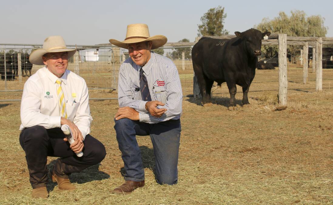 Bruce Birch, Ray White with Roger Boshammer and the second top priced bull at $16,000, Glenoch Maximerge M499 (AI).