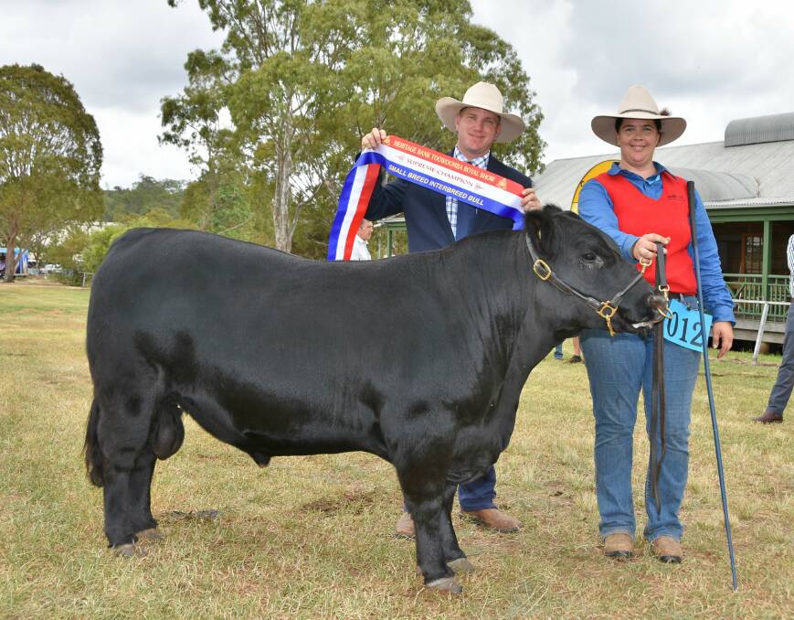 Toowoomba Royal Show beef cattle judge James Dockrill with champion small breed interbreed bull, 17-month-old Mason Farm Rough Diamond Ausline, and handler Tracey Nuttridge. 