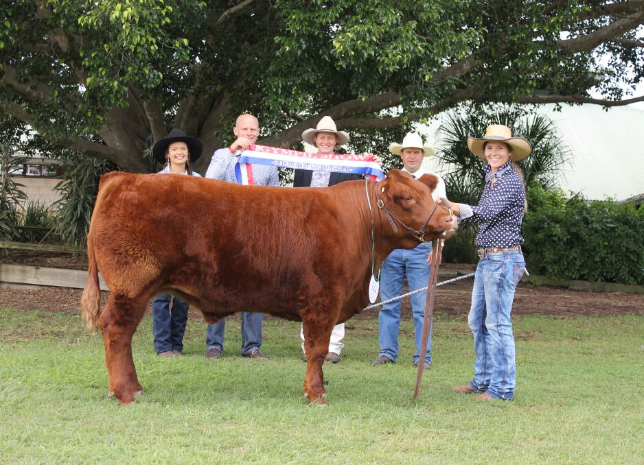 Grand champion led cattle exhibit of Gynmpie Show with Gympie Show Miss Charity Sammie Sutton, Gympie councillor Glen Hartwig, judge Tania Sainsbury, led steer owner Darren Hartwig, Gold Crest Limousins, and handler Emily Kahler.