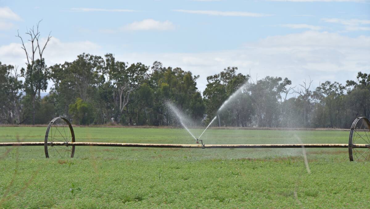Water irrigated crops near Biloela in central Queensland. 