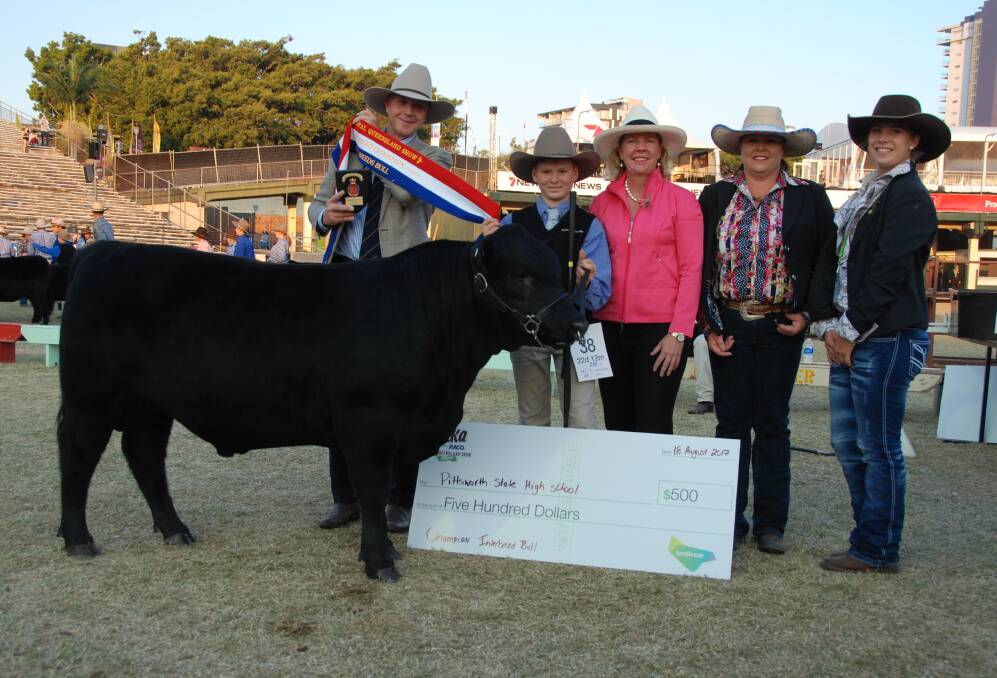 Interbreed small cattle bull champion Australian Lowline Pittsworth Model with handler Riley Wood, Sam Stephens, Bayer, RNA councilor Liz Allen, plus judges Julie Pocock and Caitlin Cox.  