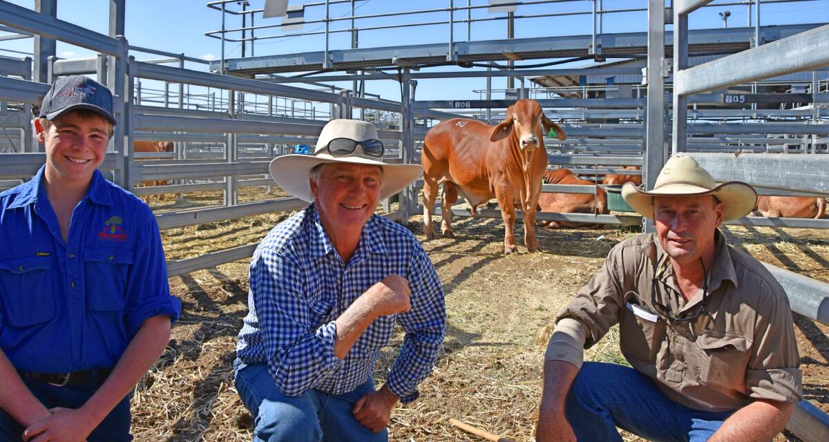Top price Droughtmaster National 2018 bull sale buyers, Lawson and Warren Kenny, Wajatryn Droughtmaster Stud, Gayndah with vendor Jason Spann and $55,000 Minlacowie Vinnie 8817 (H) bull.