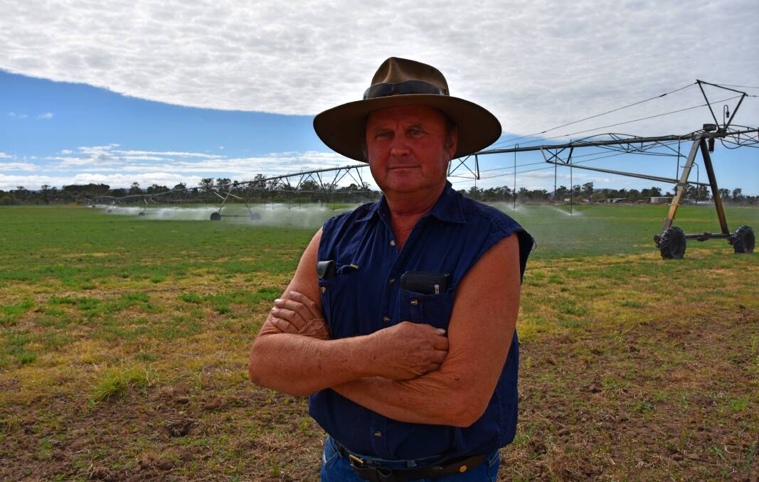 Central Queensland irrigation hay farmer Mick Zimmermann says his fodder operation has now reduced production by 40 per cent due to ongoing high electricity prices. 