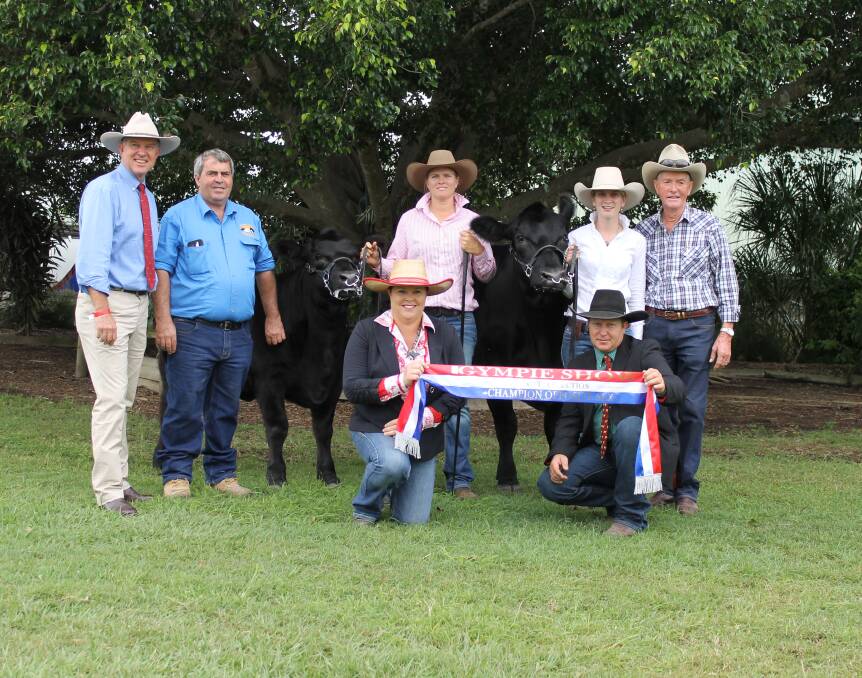 Champion Opposite Sex was awarded to Bowenfels Special Edition L7 Angus cow with calf at foot and pictured with state Member for Gympie Tony Perrett,  sponsor John Lee, Cooloola Custom Stockfeeds, handlers Julie Thompson and Chloe Gould, cow owner Glen Perrett, Bowenfels Angus, Kingaroy and judges Travis and Julie Pocock-Iseppi.