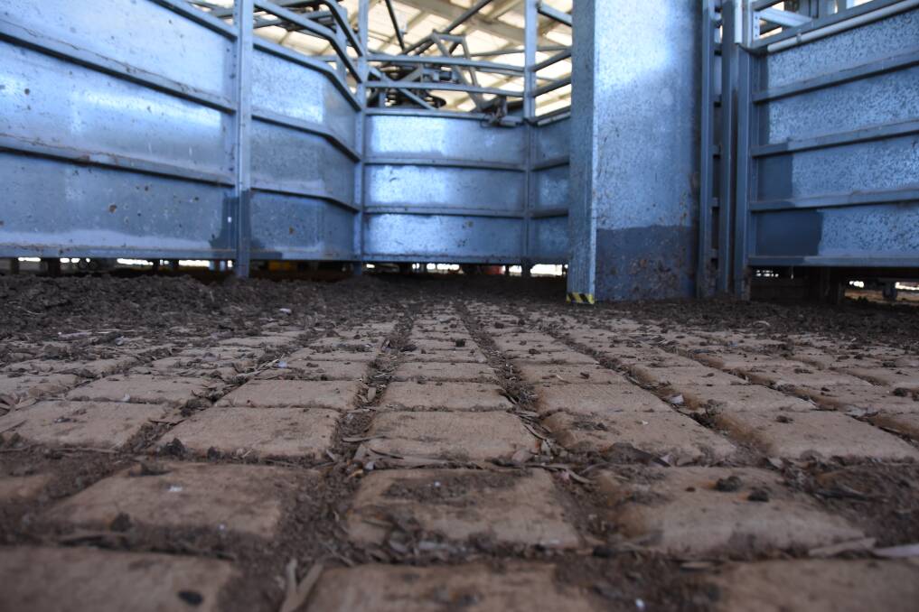 The stamped concrete floor in high cattle traffic areas in the Ashvale Station yards.