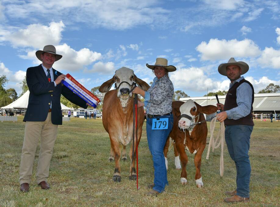 Toowoomba Show's champion Large Breed Interbreed Female, KBV Brasilia with four-month-old calf at foot, with Toowoomba Royal Show president Shane Charles, handler Bec Skene and stud owner Marty Rowlands. 