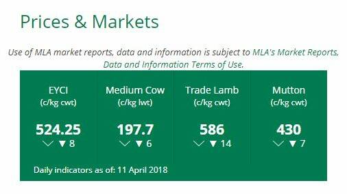 Eastern Young Cattle Indicator falls 8 points on April 11, 2018.