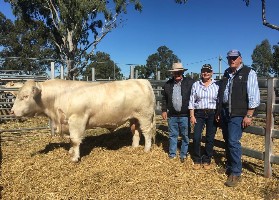 Dick Boyd, Boyd O’Brien Bartholomew, Toogoolawah with Rodney and Janelle Freeman, RNJ’S Charolais Stud, Tallegalla and the top priced $10,000 bull of the sale, RNJ’S Moonshine (AI) (P).