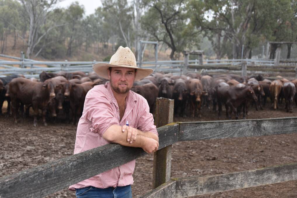 Brett Hatton at his family's Dawesdene cattle property near Biloela. 