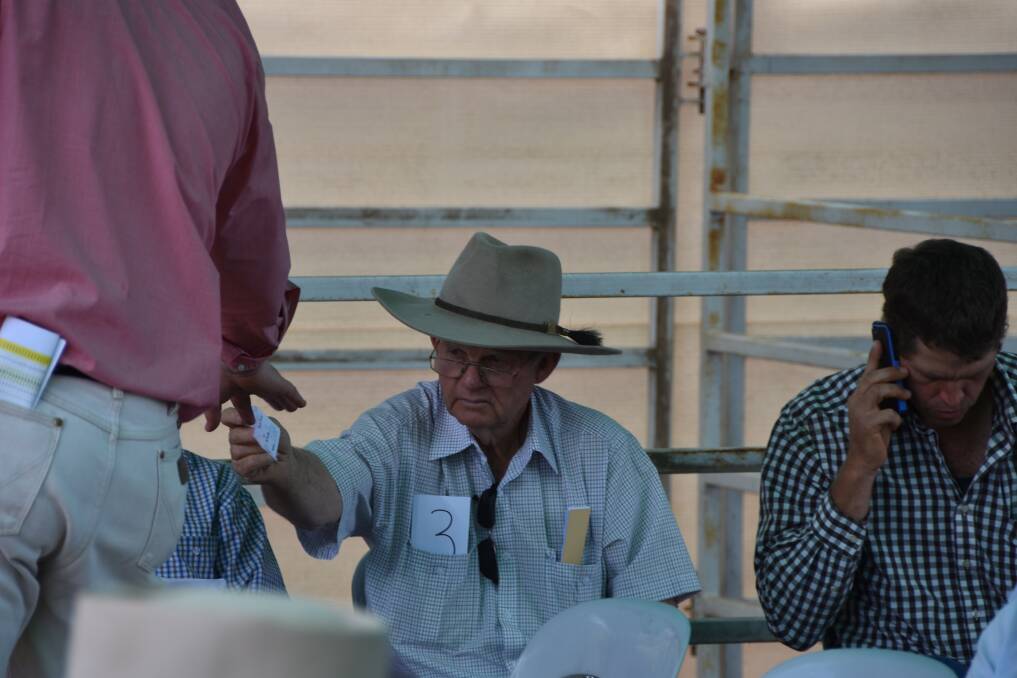 Handing in a bid during the Tremere Pastoral bull sale at Moura. 