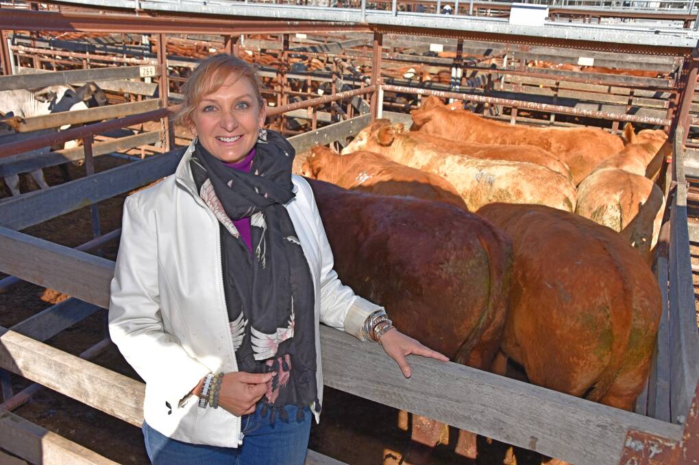 Janene McLellan, Munkora North, The Gums sold Droughtmaster/Charolais-cross oats crop finished bullocks to 299c/kg for 645kg to return $1932-a-head at Dalby cattle sale.