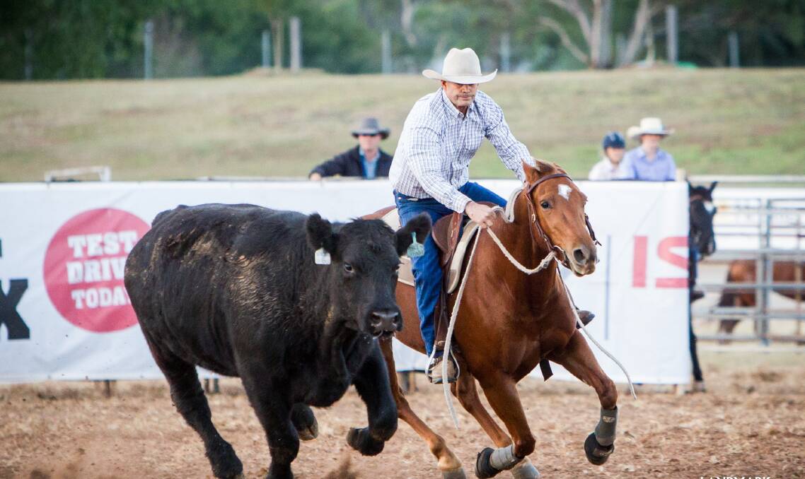 Winner of the Landmark Supreme Me-Cow Mechanical Cow Campdraft, Shane Corbolt on “Duckster” who's owned by Brett Small and Belinda Faulkner. Photos supplied by Wild Fillies Photography.