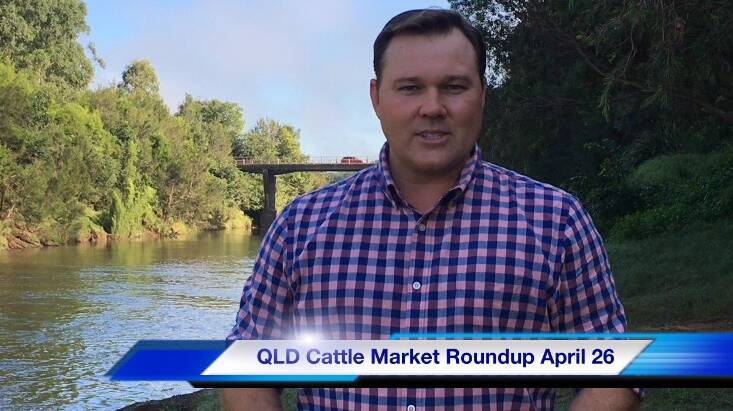 QLD Cattle Market Roundup for April 26 with Martin Bunyard.