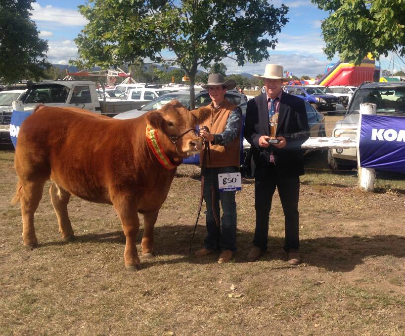 Champion Open Steer was Boom Box exhibited by Donny O’Dwyer from Roadvale and sashed by judge Jon Gaffney, Graneta Limousins, Bell.