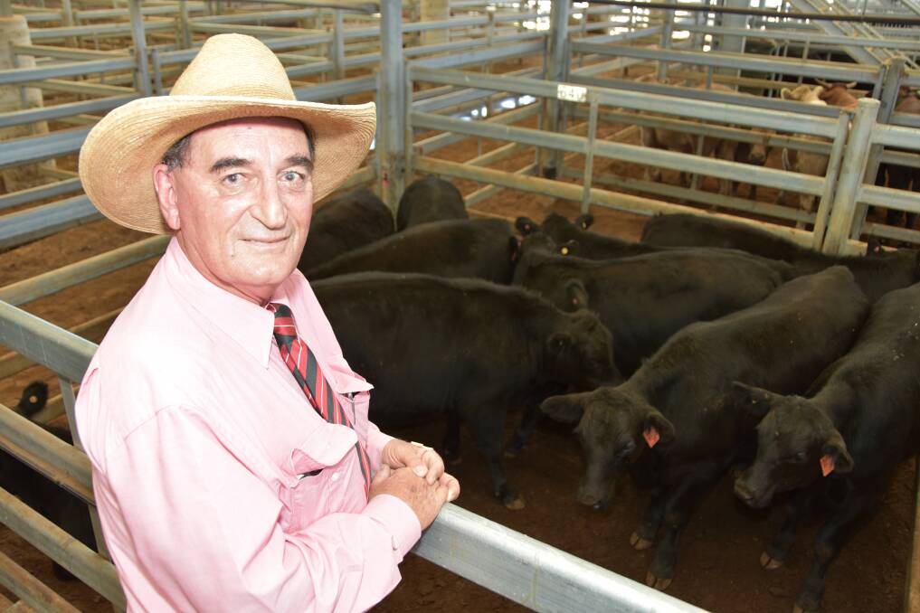 Elders livestock agent Ross Ruddell with his client's Dalby Feeder Challenge Grand Champion pen from Don and Kay Blanch, Glenfilan, Jandowae who's Angus domestic feeder weight steers weighed 346kg and sold to 304c/kg to return $1051/head on Friday.