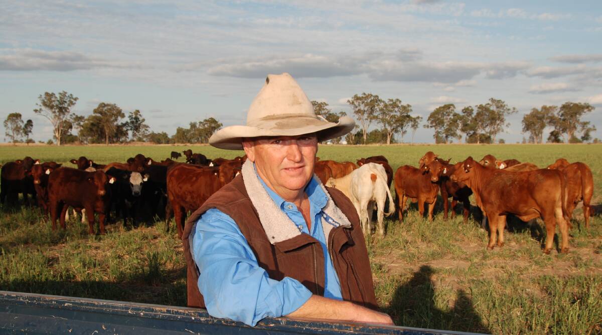 Dalby cattle producer John Mackenzie has worked out his assistance feeding program decreases his young cattle's grass consumption by 47 per cent.