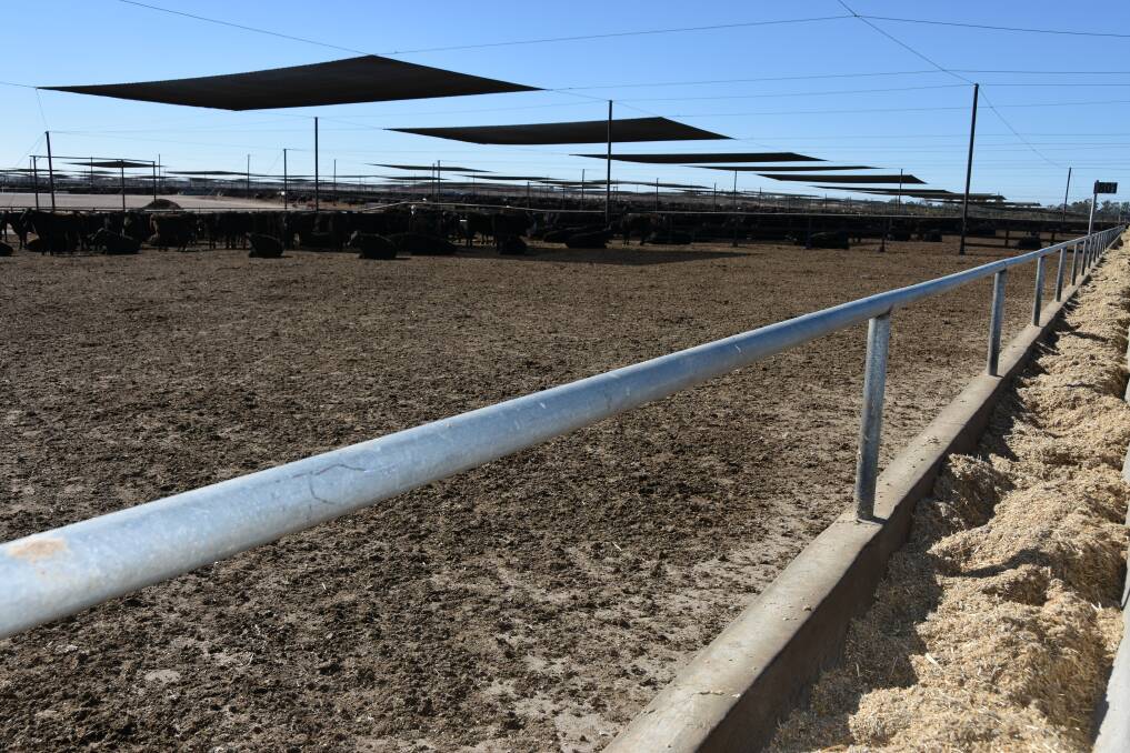 Mort & Co's Grassdale Feedlot in southern Queensland near Dalby. 