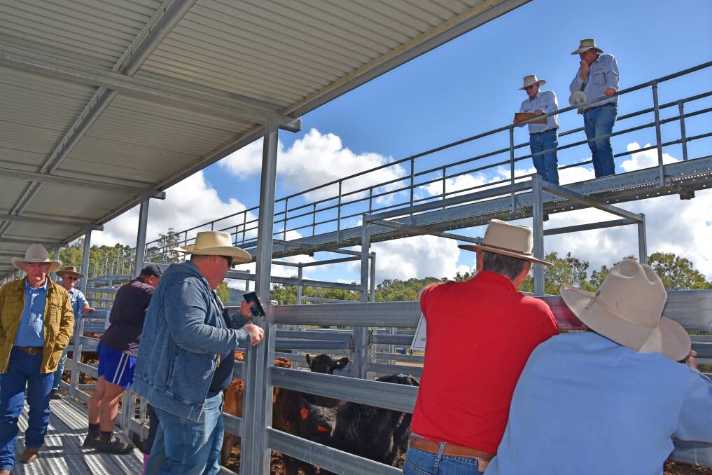 The 2018 Limousin Blockbuster Hoof and Hook competition was held at Beaudesert Saleyards on Thursday. 
