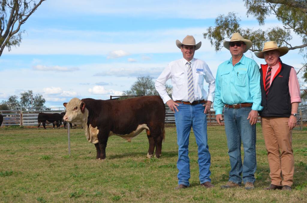 Top priced bull, Merawah High Time R012, auctioneer Paul Dooley, vendor Andrew Mackay and Elders studstock agent Andrew Meara.
