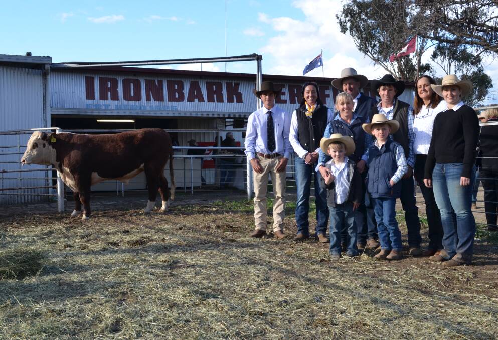 LOT 4 sold to Sugarloaf Creek Herefords, Victoria 