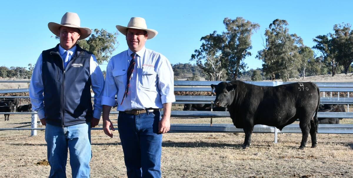 Sinclair Munro, Booroomooka Angus and Luke Scicluna, Davidson and Cameron Gunnedah with Melon Pastoral's $28,000 top priced bull. 
