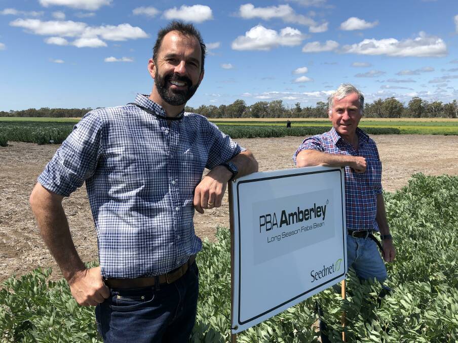 Faba bean breeders Rohan Kimber (left) and Jeff Paull (right) with a trial plot of their new release PBA Amberley last week at the southern pulse agronomy field day.