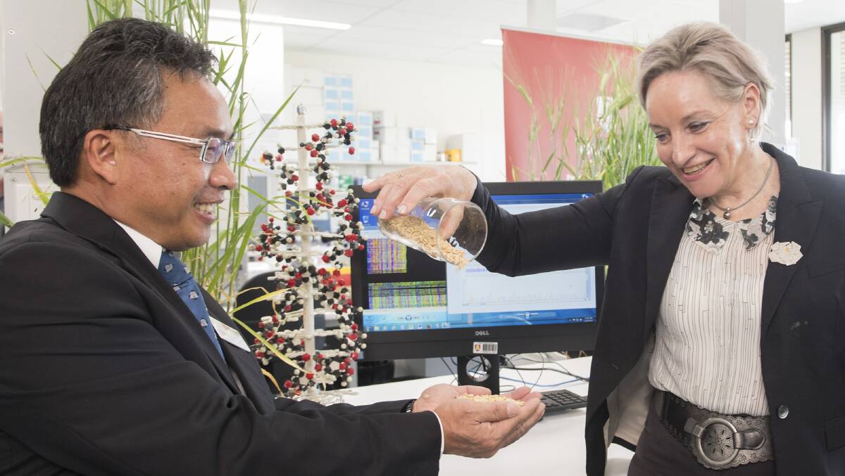 Western Barley Genetics Alliance director, Chengdao Li and Western Australia’s Agriculture and Food Minister Alannah MacTiernan celebrate the complete mapping of the barley genome.