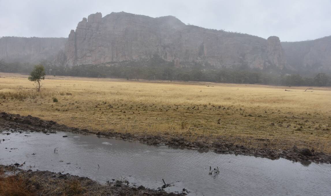 Farmers near Mt Arapiles in Victoria will look to bank some of the 50mm that fell over the weekend by controlling summer weeds.