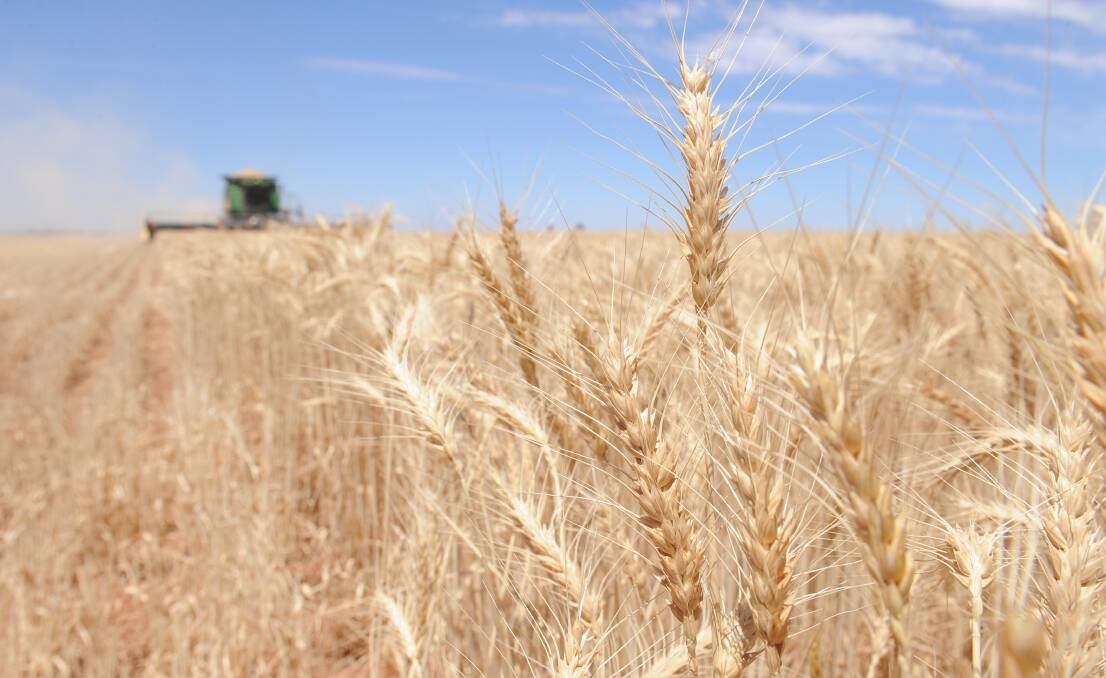 With harvest creeping up, Grain Producers Australia is urging growers and contractors to double check their plans regarding movement, especially over state borders.