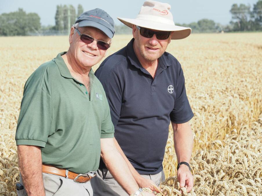 World record holder Eric Watson together with Bayer's David Weith in the 17.4t/ha wheat crop.