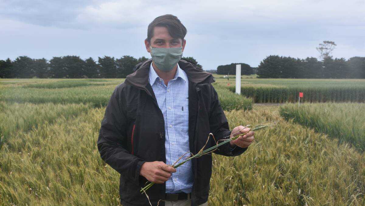 Darcy Warren, FAR Australia senior field research officer in a trial plot at Gnarwarre during the recent hyper yielding crop field day.