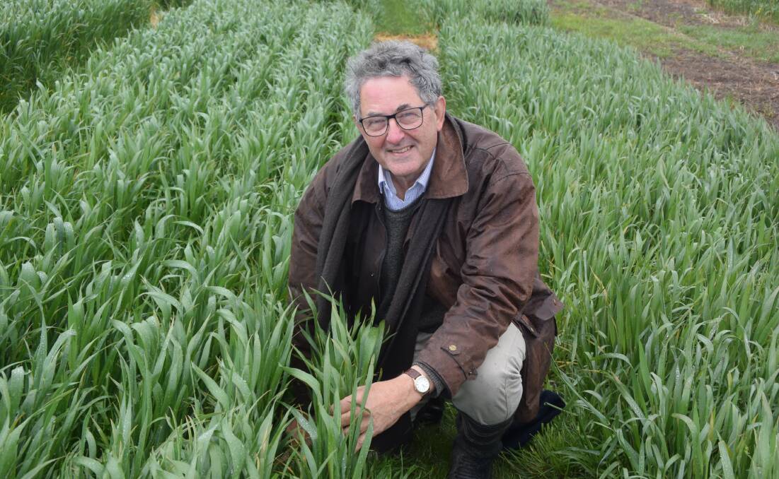Rob Norton says getting nitrogen levels right should be a key priority for HRZ farmers.