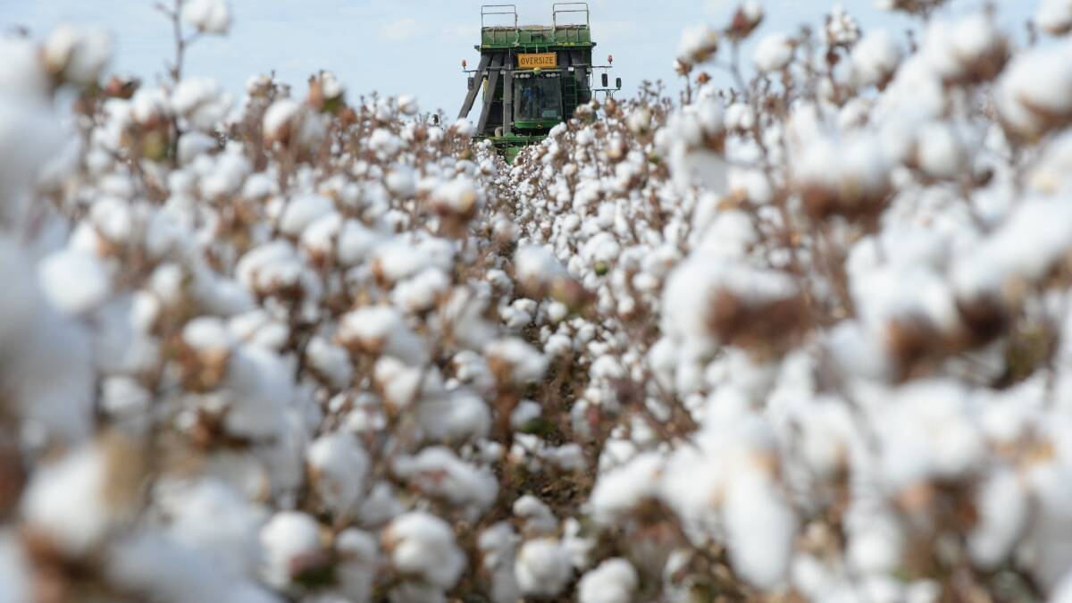 The Australian cotton harvest for 2018 is being heralded a success.