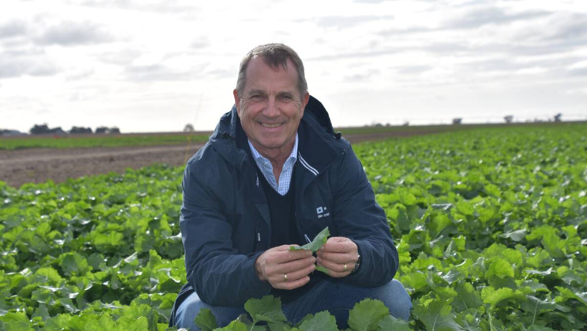 BASF ANZ head of agriculture Gavin Jackson believes the crop protection R&D pipeline is strong in Australia. Photo by Gregor Heard.