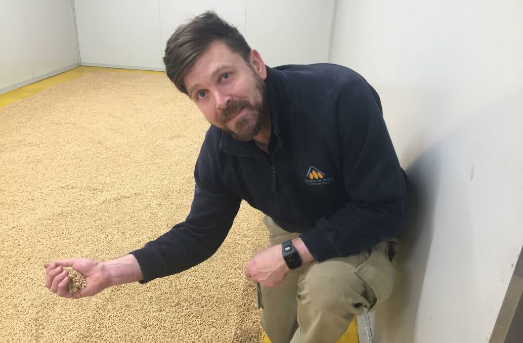 Drew Graham with malted barley on the malting floor at his House of Malt business in Delacombe, Ballarat.