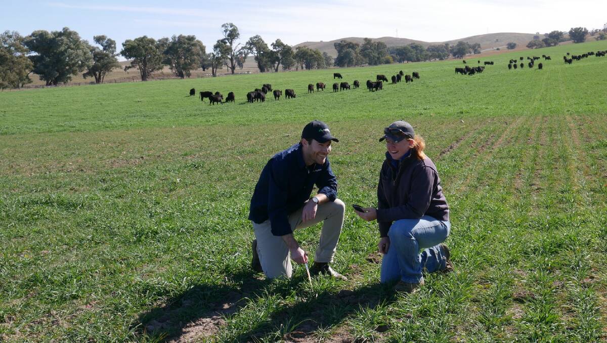 INNOVATIVE: John Fargher, Agriwebb founder, together with Amy Walker, assistant farm manager at Breakfast Creek, a 3300-hectare property south of Boorowa, New South Wales.