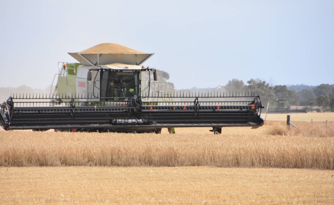 Australian barley producers would benefit more from a program to develop new alternative markets for the crop rather than WTO action says Grain Producers Australia.