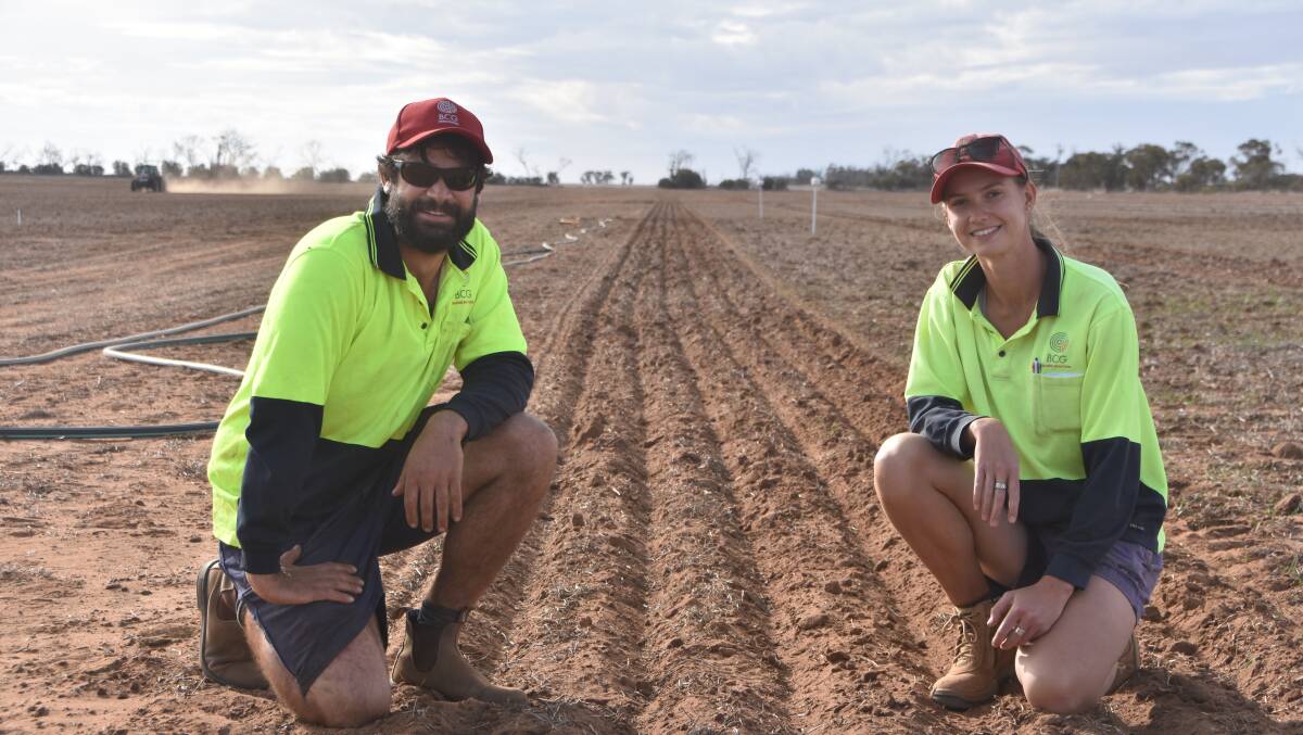 Birchip Cropping Group research agronomists Tariq Gerardi and Brooke Bennett with a recently sown trial at Watchupga, north-west of Birchip.