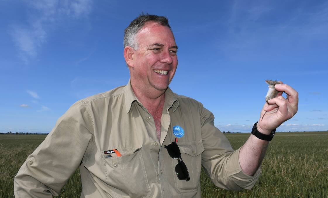 GET OUT AND ABOUT: Steve Henry, CSIRO mouse researcher, urges growers to go through their paddocks to check if mouse numbers are rising.