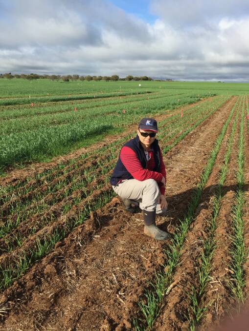 Weed resistance specialist Peter Boutsalis says the double stacked ryegrass resistance is likely to have come due to the use of sublethal doses of both herbicides.