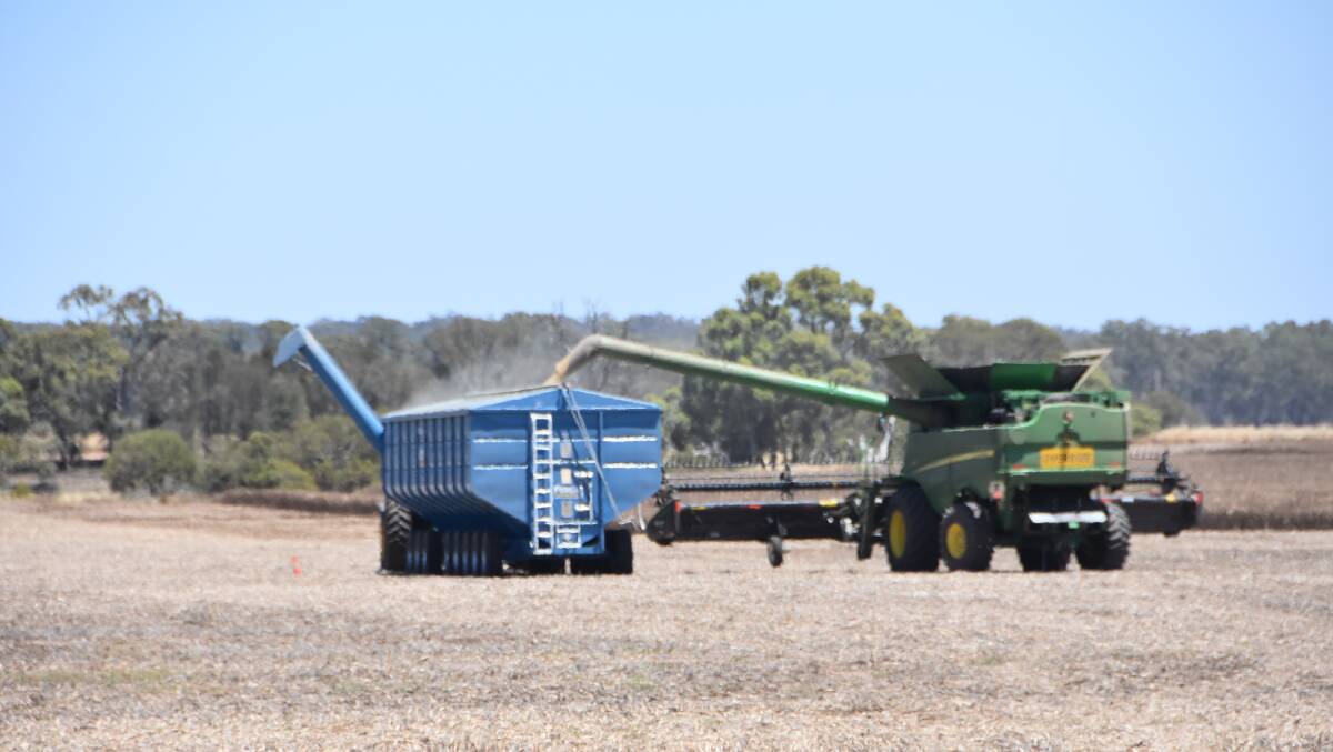 Wimmera grain receival sites breaking daily records