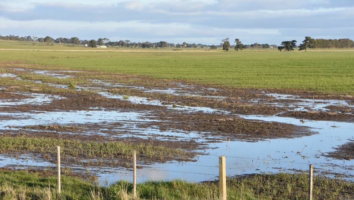 Not all parts of eastern Australia have been dry this season. West Gippsland and the Western District in Victoria (pictured) have had above average rainfall for winter.