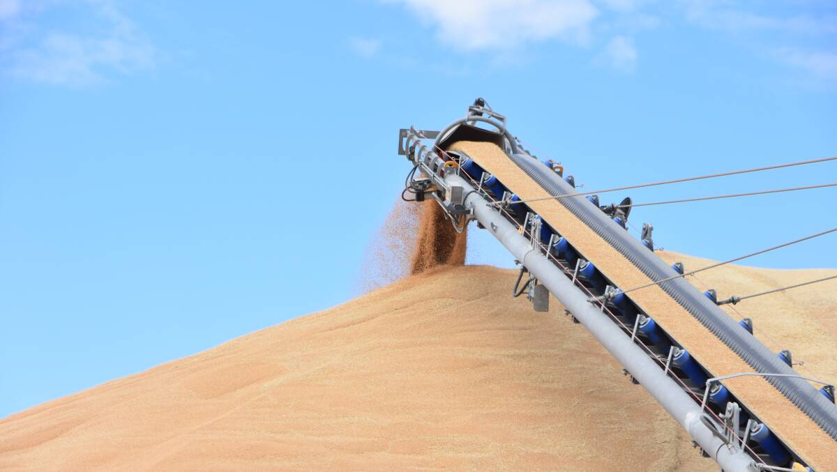 NEW START: Grains Australia has appointed a new chief executive.