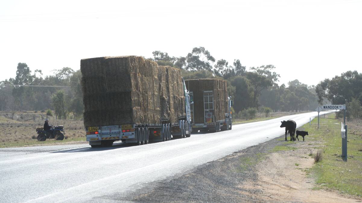 Good demand for hay means farmers are looking to cut cereal crops for fodder if there is sufficient biomass, particularly in northern Victoria where there was a heavy frost that could cause stem frost damage.