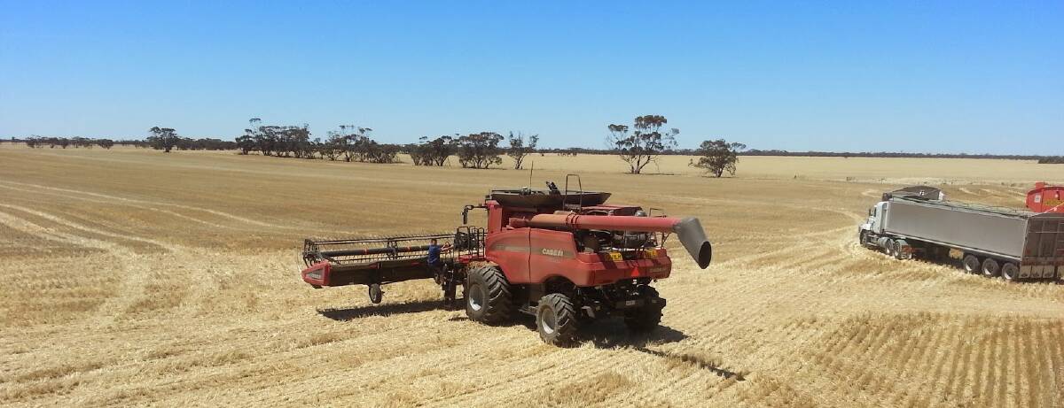 Barley harvest is in full swing in southern Australia.