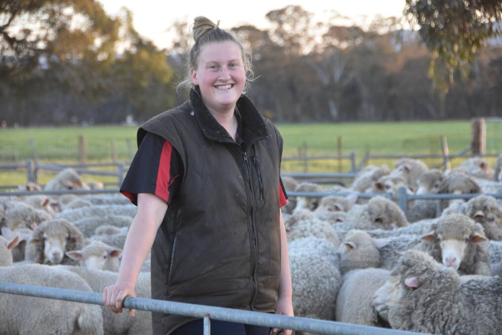 Ellie McDonald, Hopea Suffolk and White Suffolk Stud, pictured during shearing her family's commercial Merino flock at Dadswells Bridge, Victoria, had 25mm over the weekend.