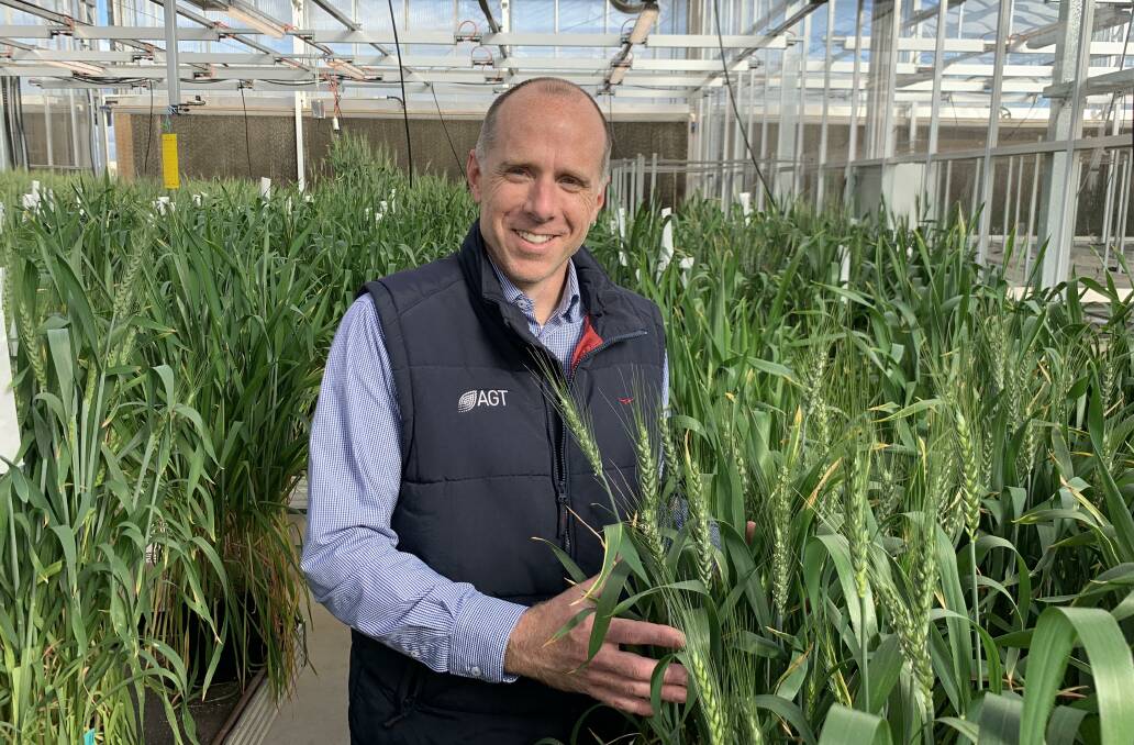 Tristan Coram, head of science and business development at AGT says results with Arista high fibre wheat have been promising.