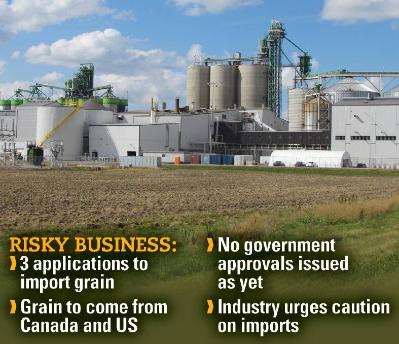 Grain grower groups are urging the government to maintain strict biosecurity regulations if it does allow grain to be imported from the US and Canada this year.