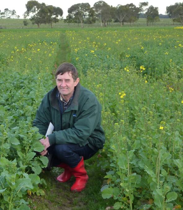 Malcolm McCaskill, Agriculture Victoria, says crops in high rainfall zones often lose yield due to a lack of nutrition.